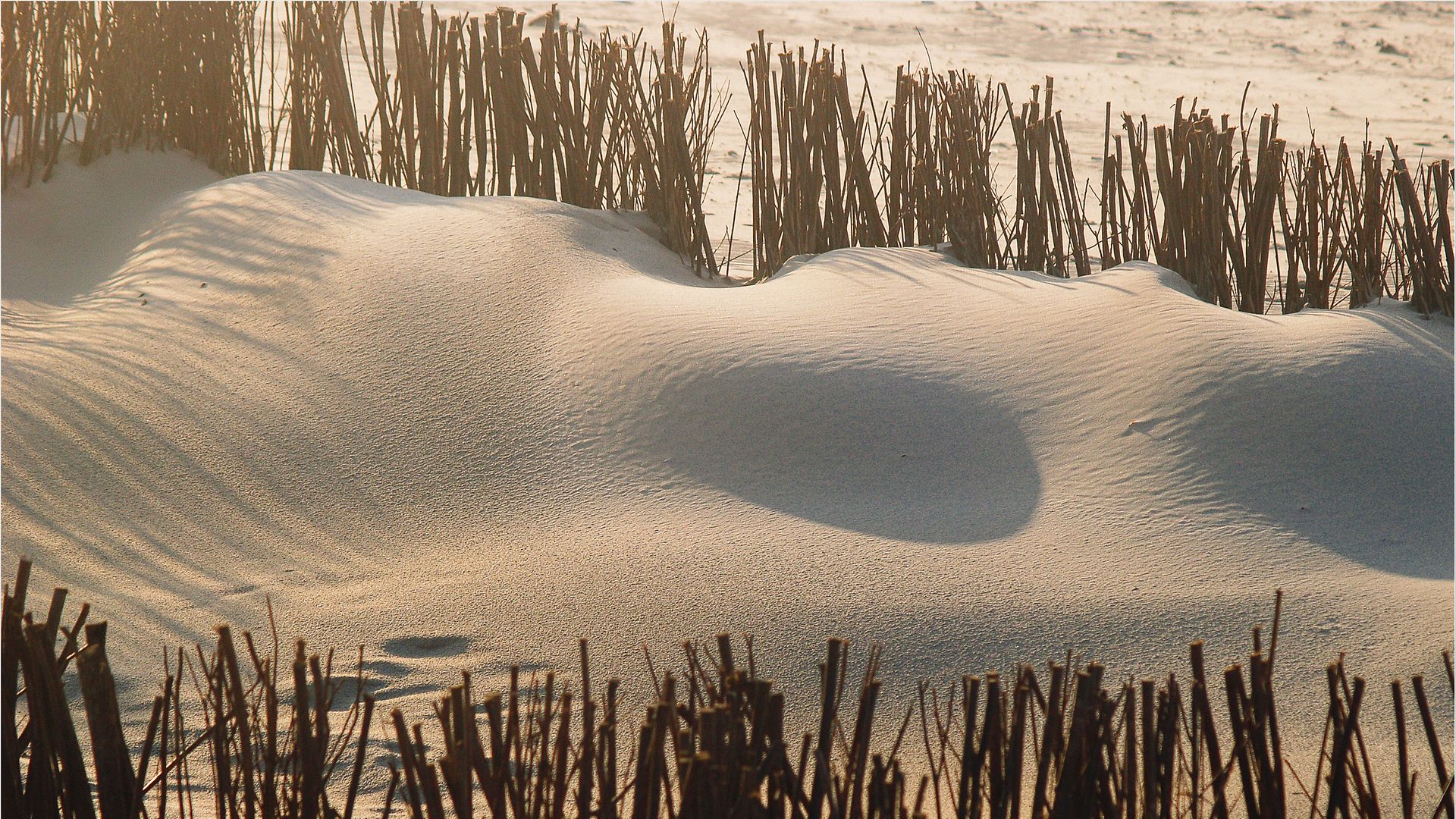 Sanddüne auf Sylt